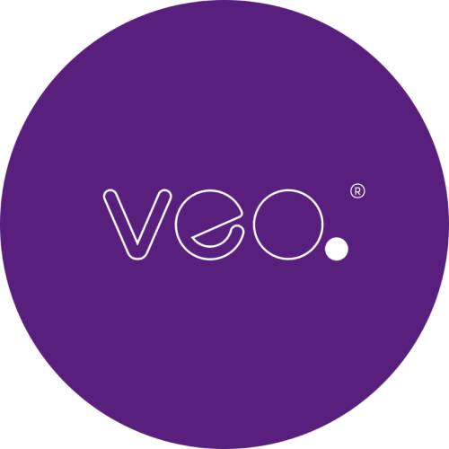 Veo logo